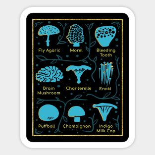 Types of Mushrooms Sticker